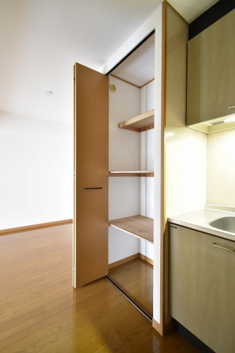 収納　※別部屋の参考写真です。