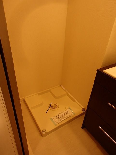 その他　室内洗濯機置場