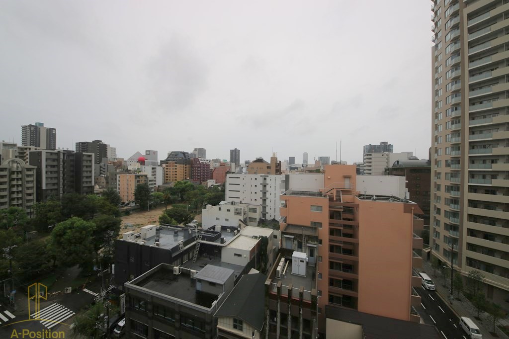 眺望　プレサンス谷町リーベ