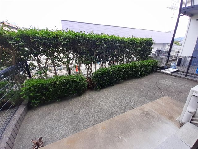 庭