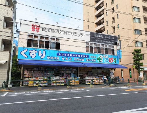 ドラックストア　ぱぱす薬局 根津店（ドラッグストア）まで647m