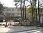 中学校　加古川市立浜の宮中学校（中学校）まで1177m