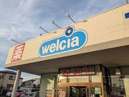 ドラックストア　ウエルシア習志野実籾店（ドラッグストア）まで687m