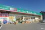 ドラックストア　ドラッグセイムス上小町店（ドラッグストア）まで887m