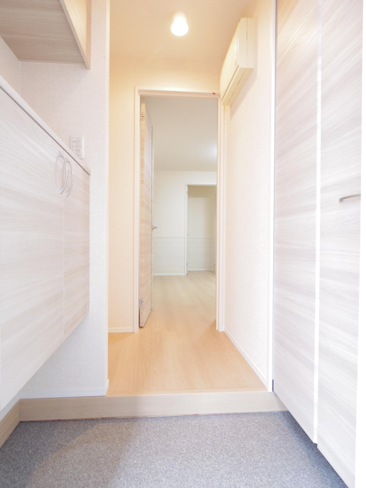玄関　※他号室写真です