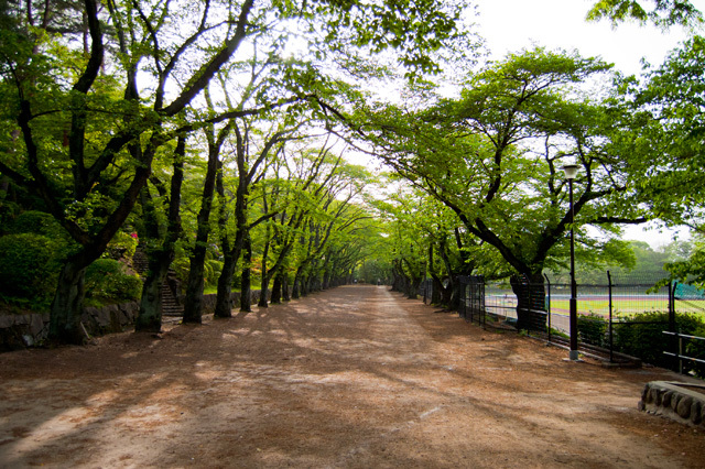 その他　富士森公園（その他）まで1018m