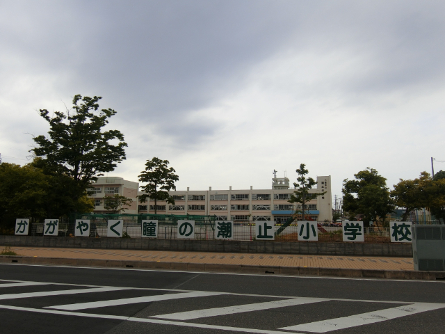 小学校　八潮市立潮止小学校（小学校）まで1010m