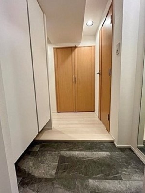 玄関　同仕様タイプ