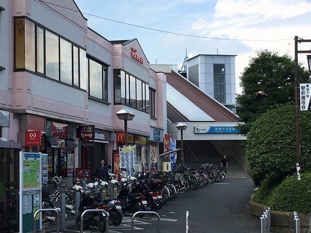 その他　東海大学前駅（その他）まで700m