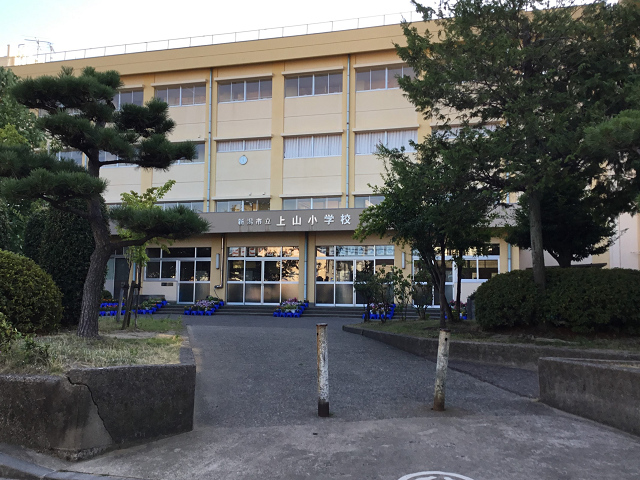 小学校　新潟市立上山小学校（小学校）まで318m