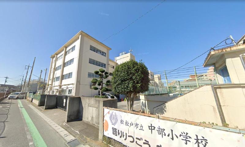 小学校　松戸市立中部小学校（小学校）まで260m