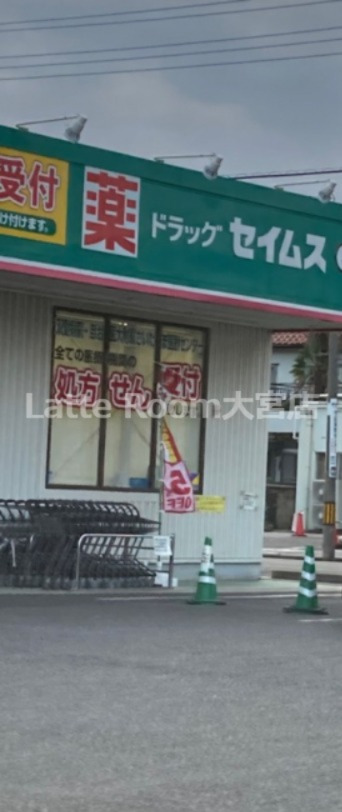 ドラックストア　ドラッグセイムス見沼風渡野店（ドラッグストア）まで353m