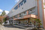 小学校　札幌市立山鼻小学校（小学校）まで335m