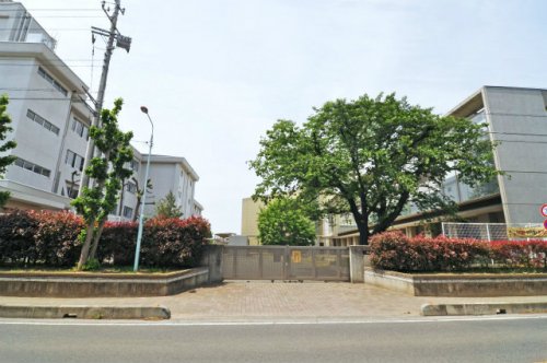 中学校　松山中学校（中学校）まで339m