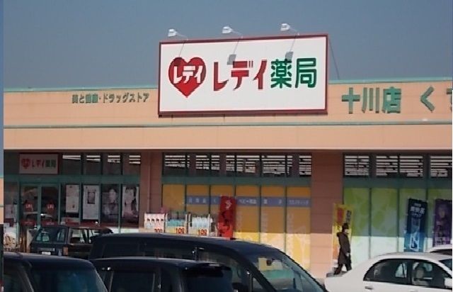 ドラックストア　レディ薬局十川店さん（ドラッグストア）まで450m