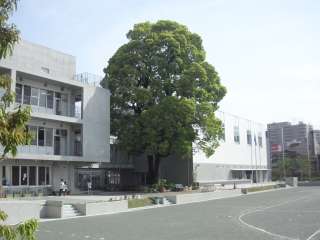 小学校　世田谷区立松沢小学校（小学校）まで497m