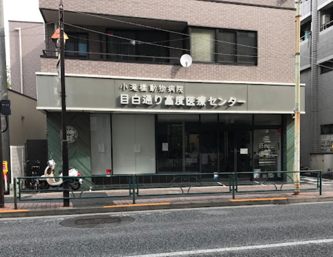 病院　小滝橋動物病院 目白通り高度医療センター（病院）まで489m