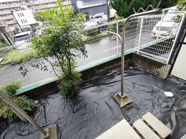 庭
