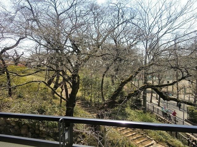 眺望　★洗足池公園が見えます★