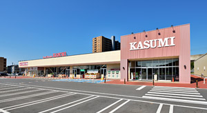 スーパー　KASUMI(カスミ) 万博記念公園駅前店（スーパー）まで315m