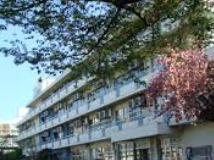 小学校　港区立青南小学校（小学校）まで850m