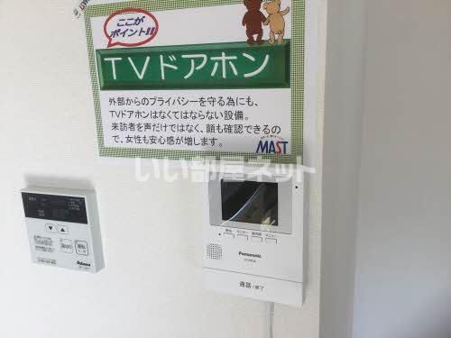 エバーグリーンのその他写真