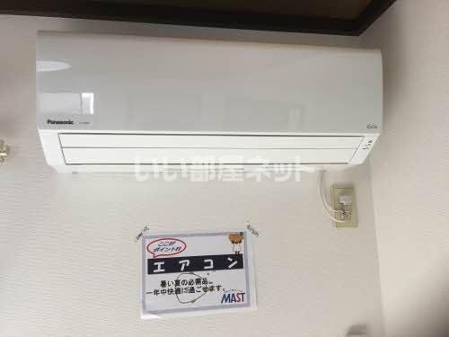 エバーグリーンのその他写真
