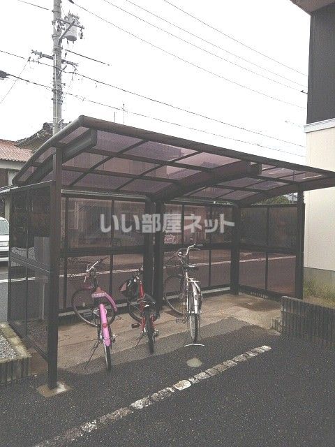 エバーグリーンのその他写真