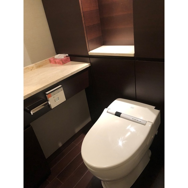 南青山テラス常盤松フォレストのトイレ写真