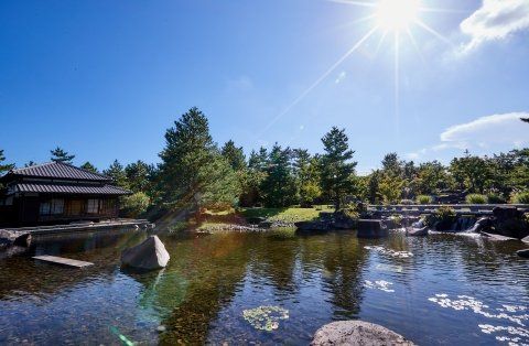 公園　二子玉川公園 02（公園）まで4565m