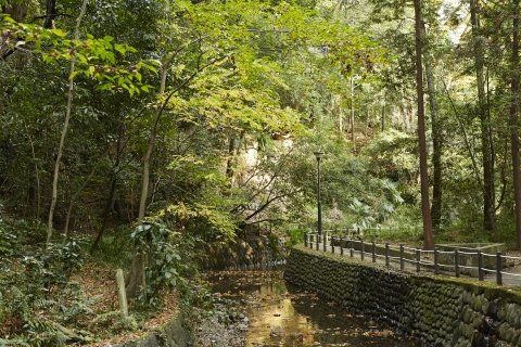 その他　等々力渓谷 01（その他）まで5335m