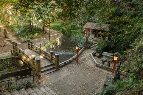 その他　等々力渓谷 02（その他）まで5335m