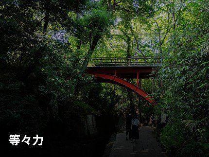 公園　等々力渓谷公園（公園）まで5336m