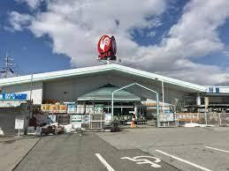 ホームセンター　コメリ豊田店（ホームセンター）まで591m