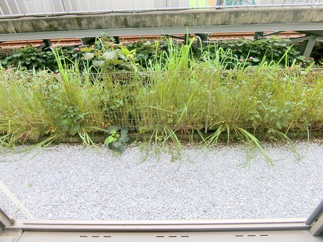 眺望　展望