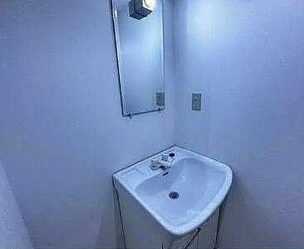 洗面設備　参考写真：別部屋タイプ
