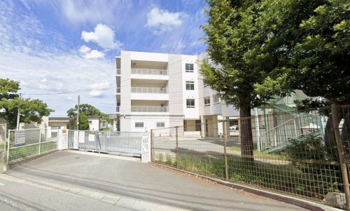 小学校　名島小学校（小学校）まで927m