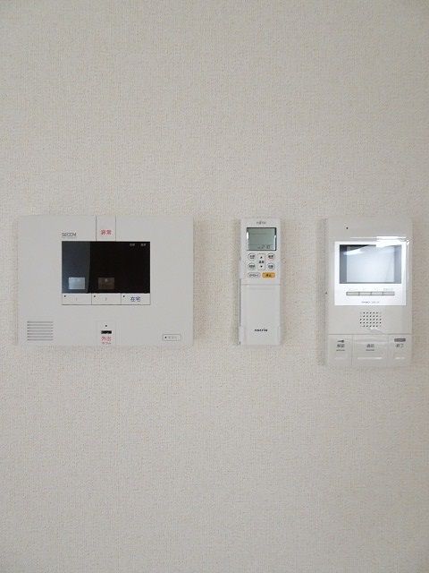 プルメリアのその他写真