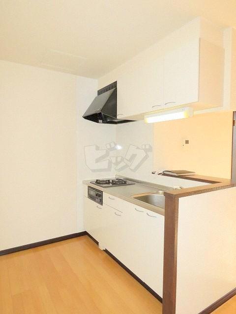 キッチン　嬉しいシステムキッチン付きです♪コンロを買わなくてもOK♪