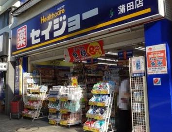 ドラックストア　くすりセイジョー蒲田店（ドラッグストア）まで415m