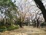 公園　駒込東公園（公園）まで570m
