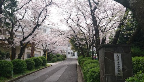 【大府市吉田町のアパートの小学校】