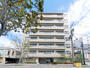 円山公園駅より徒歩4分 8階 築33年8ヶ月の賃貸物件