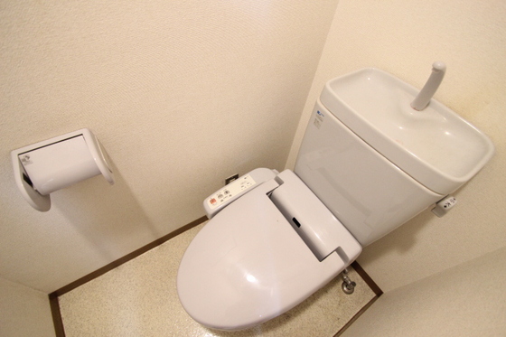 トイレ　他号室の写真です。