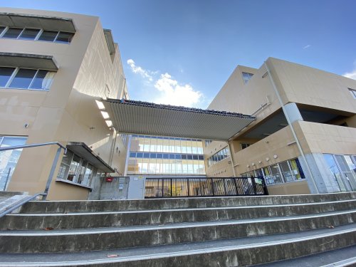 小学校　川崎市立はるひ野小学校（小学校）まで1156m