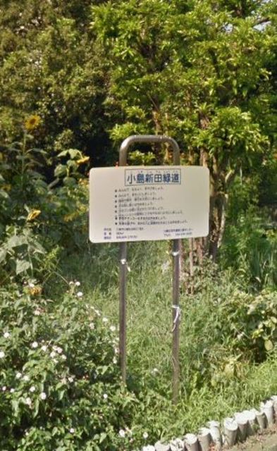 公園　小島新田緑道（公園）まで554m