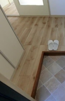 玄関　※別部屋参考写真