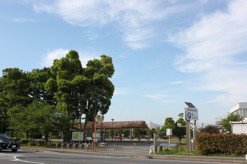 公園　大洲防災公園（公園）まで352m