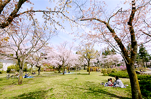 【八王子市元八王子町のマンションの公園】