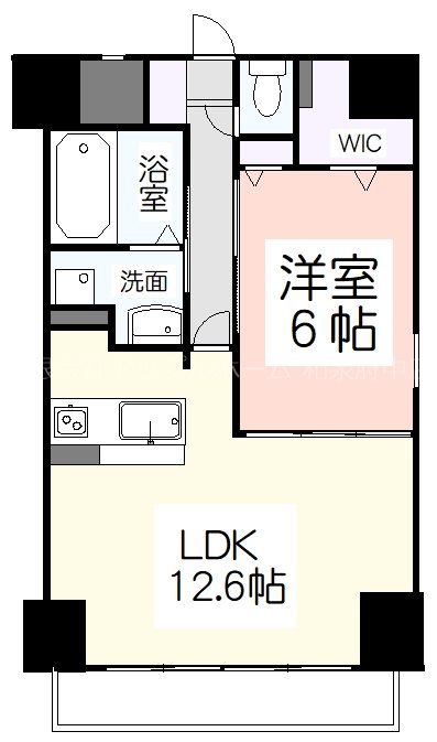 アムール・M-13の間取り